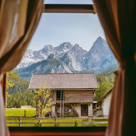 Cozy Alpine House Daire *