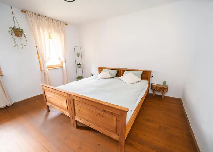 Cozy Alpine House 公寓 *