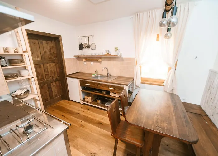 Cozy Alpine House 公寓